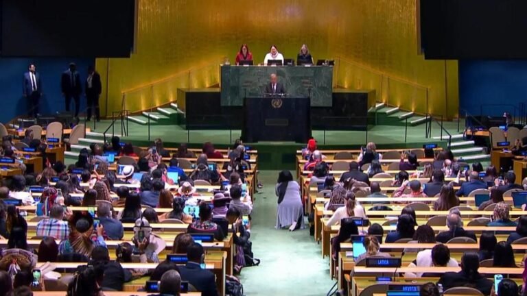 India and UN officials discuss peaceful cooperation