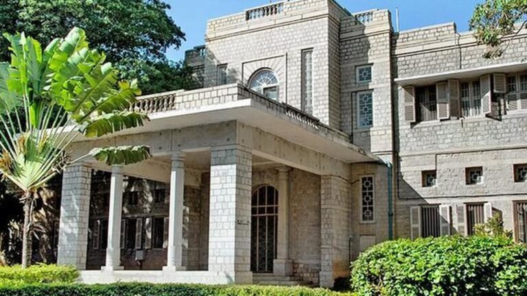 Mental health and technology consulting