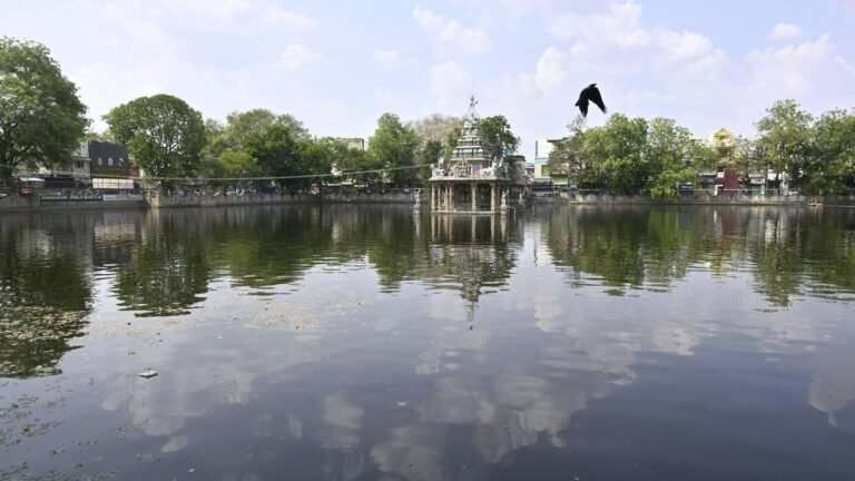 Tamil Nadu Election 2026: Virudhunagar constituency lacks basic amenities