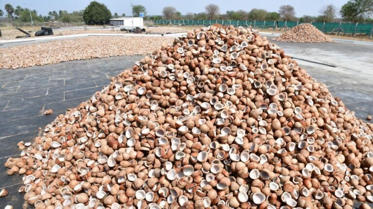 Tamil Nadu Election 2026: Many outstanding issues in Kangayam constituency