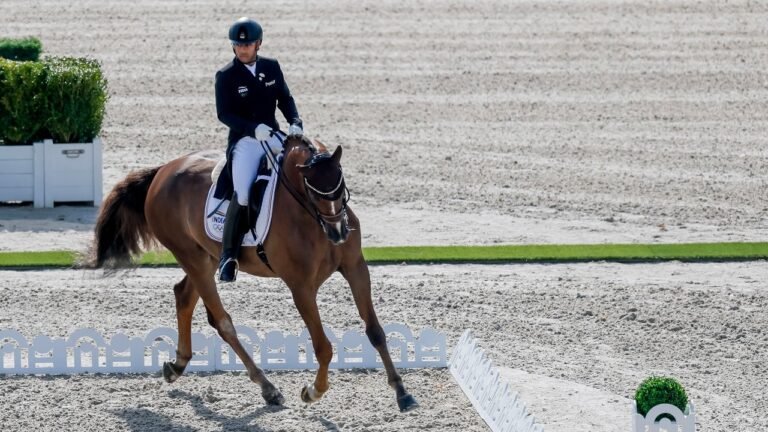 The Indian Olympic Association constitutes an ad-hoc panel to govern the Equestrian Federation of India
