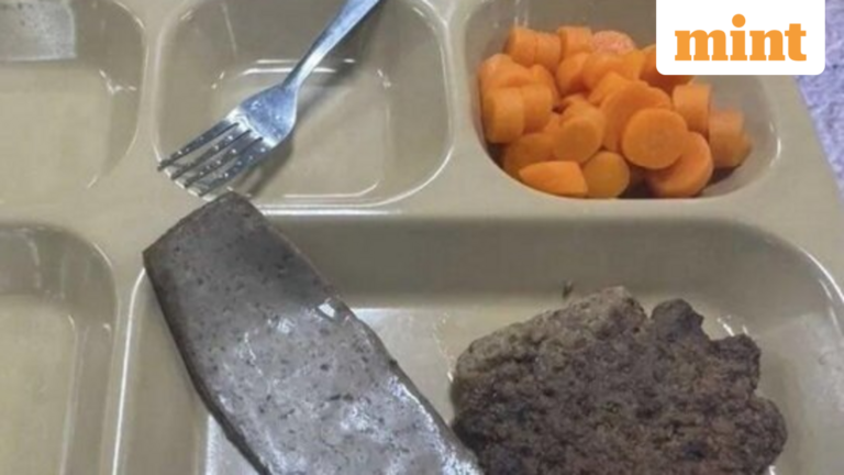 ‘Constant hunger’: Families raise alarm as US troops on tour to Middle East served ‘dry patties, tasteless food’ | Today’s news