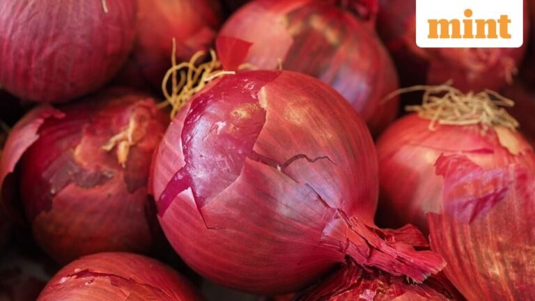 Watch out for prices, India cuts onion waste for third year in a row | Today’s news