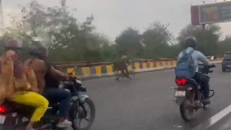 Delhi Weather Today: Rains lash parts of NCR, IMD issues yellow alert in these areas | Today’s news