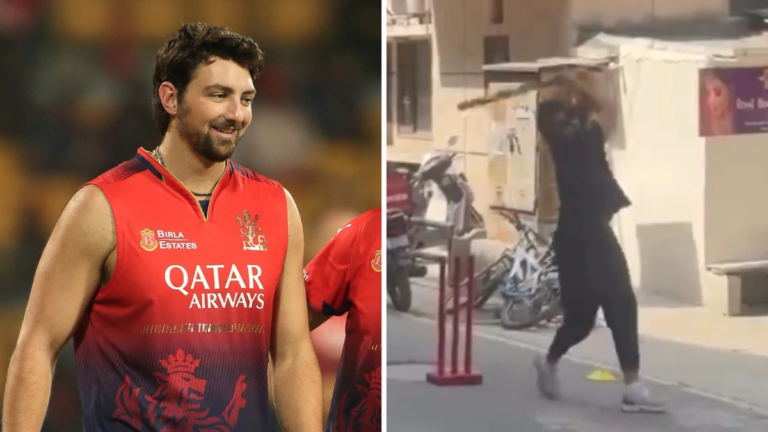 RCB’s Tim David and Romario Shepherd play cricket in the gullies of Delhi: Video