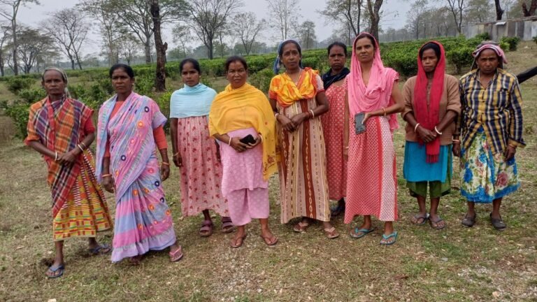 While the Trinamool, BJP is reaching out to closed tea garden workers, women-led cooperatives are planning an independent course