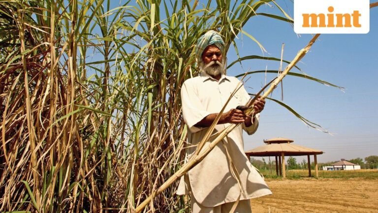 Chasing Brazil’s Biofuel Dream: Can India Go 100% Ethanol? | Today’s news