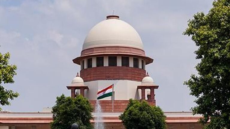Delhi Police suggests larger bench of Supreme Court to review UAPA bail restrictions