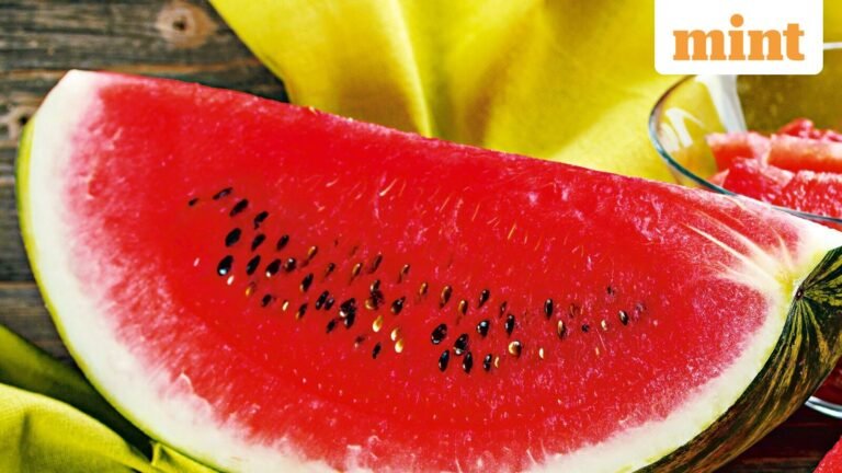Father dies, son critical in Madhya Pradesh’s Sheopur after eating watermelon | Today’s news