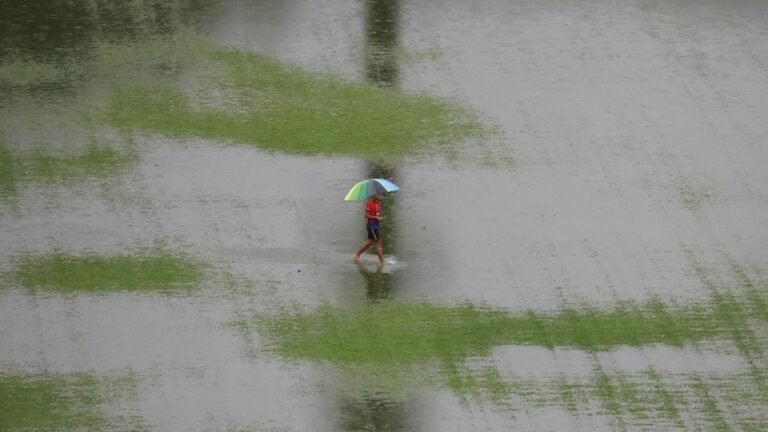 Asia Faces $200 Billion Annual Climate Change Adaptation Financing: Report