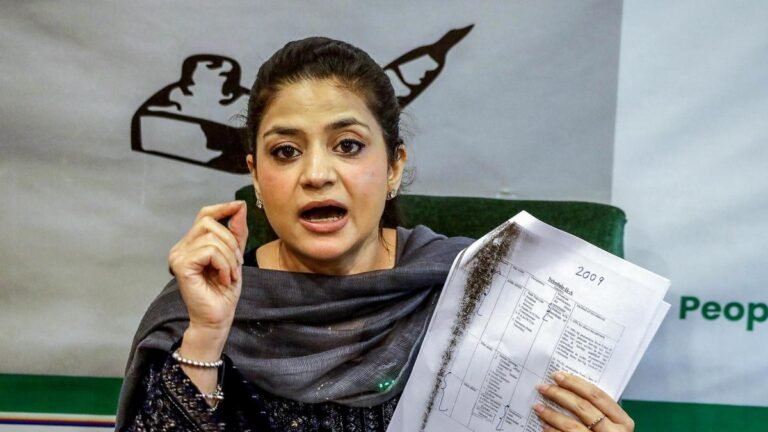 Stop summoning locals over re-posting of separatist Geelani video in Urdu: PDP’s Iltija Mufti