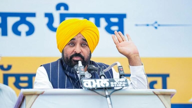The Punjab government will remove stray dogs from public spaces with high footprints following a Supreme Court order