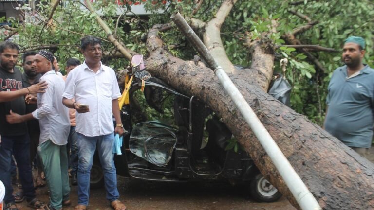 Downpour, gusty winds uproot trees, throw out life in Hubballi