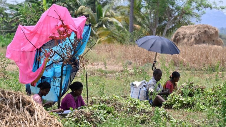 Stay home between noon and 4 p.m., Yadgir residents said