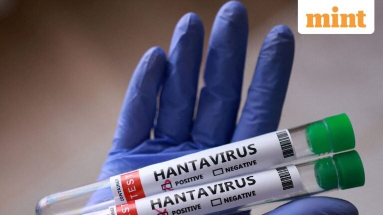 Symptoms, spread and risk of a hantavirus pandemic explained by an infectious disease expert | Today’s news