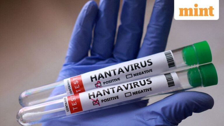Hantavirus: Case count reaches 13 as another MV Hondius passenger tests positive in Spain; situation stable, says WHO | Today’s news