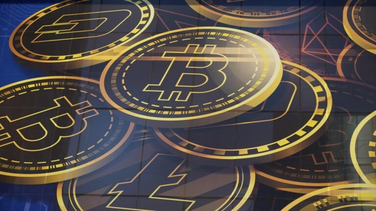 Bitcoin scam: ED arrests hacker Sriki and two others