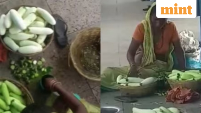 Green painted cucumbers sold at Bihar railway station? Viral video sparks outrage | Today’s news