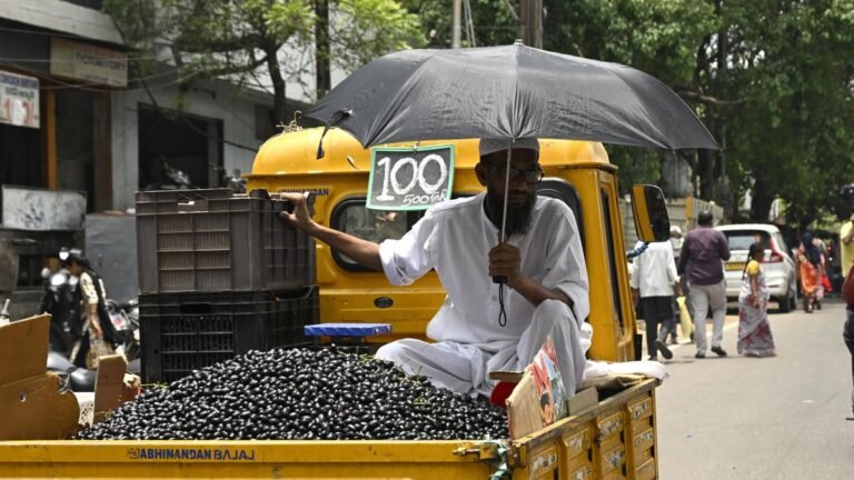 Three districts of Telangana exceed 45℃ on May 17, Nizamabad hottest at 45.7℃