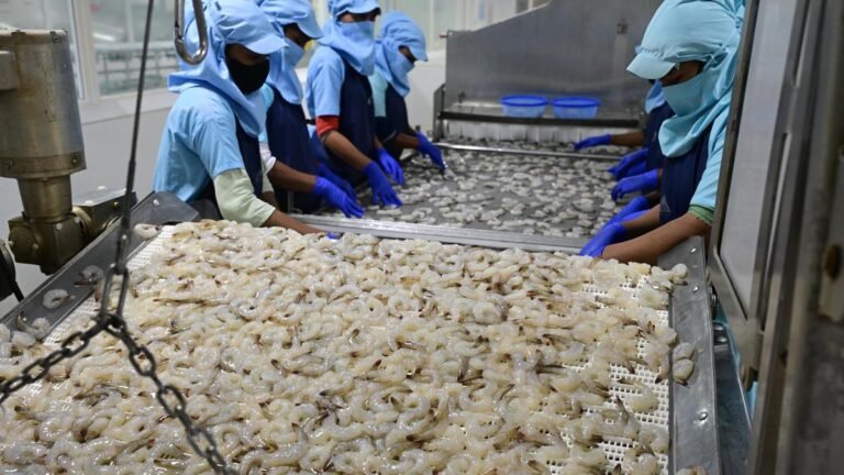 Aquaculture farmers in upbeat mood as India’s seafood exports cross ₹72,000 crore mark