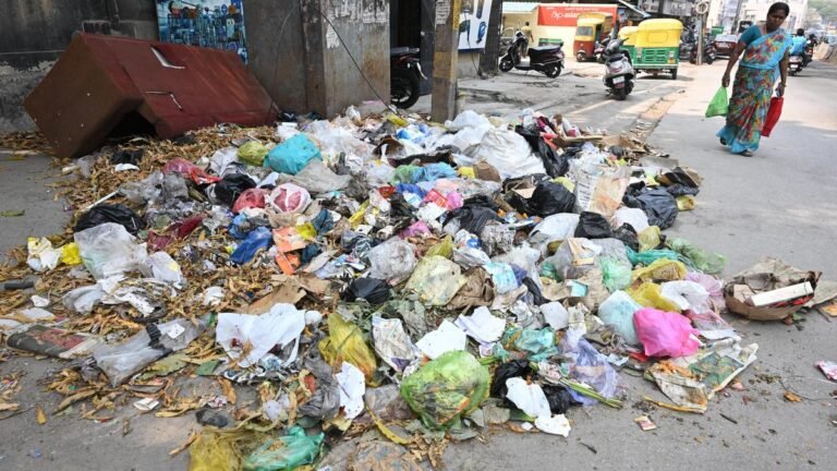 The SC is asking the Center to give powers to district collectors to enforce waste management rules