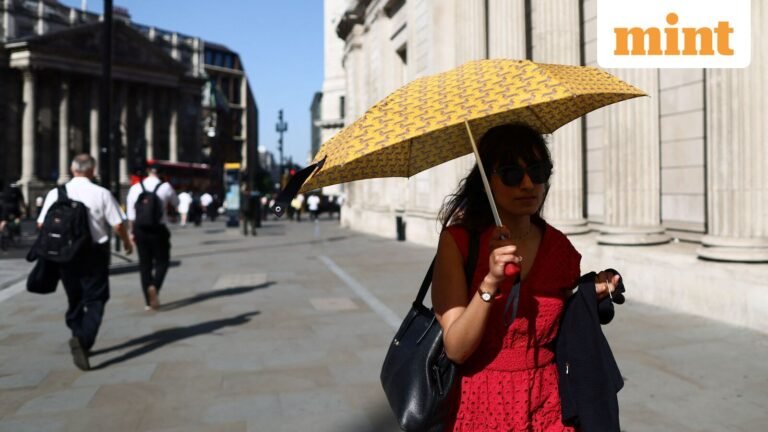 7 dead as France records hottest May temperatures ever; Europe is preparing for harsher conditions | Today’s news