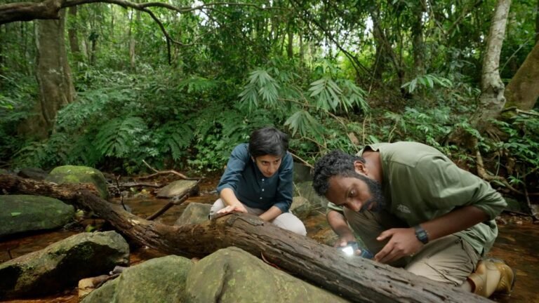 Get a glimpse into the secret lives of Coorg’s many frogs