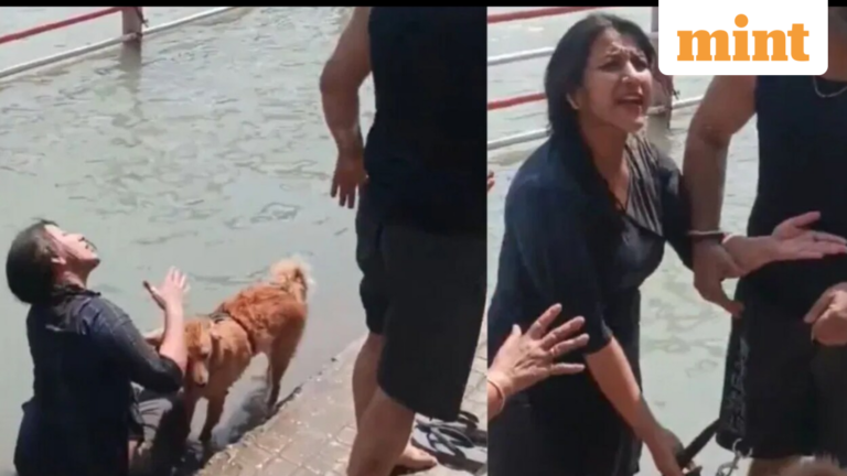 Woman bathes dog in Haridwar, viral video sparks outrage: “Ghat par insan in the country ya yeh?” | Today’s news