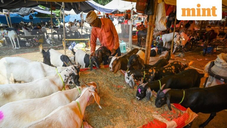 Bakrid Eid 2026: Delhi government offices to remain closed on May 28; are banks, schools and colleges open? | Today’s news