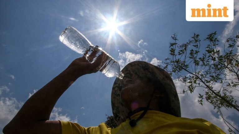 El Niño fast approaching, ‘82% chance of development by July’: How ‘cool’ could it be? Explained | Today’s news