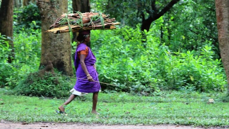 Forest tribes seek direct recruitment