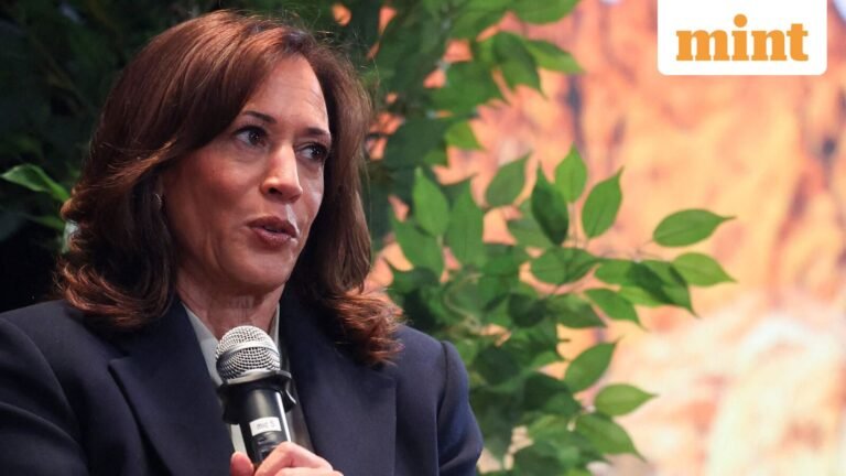 Kamala Harris’ 2024 Campaign Strategy Revealed at DNC ​​Autopsy: Identity Politics, Rural Collapse, Soft Trump Strategy | Today’s news