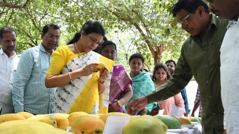 Sangareddy Fruit Research Center distributes 2,000 seedlings to farmers annually