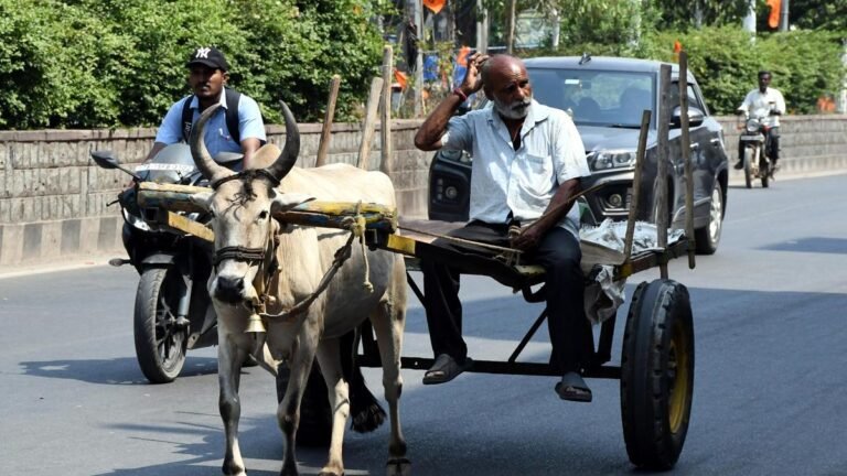 Telangana Heat Wave | CM urges people to take adequate precautions
