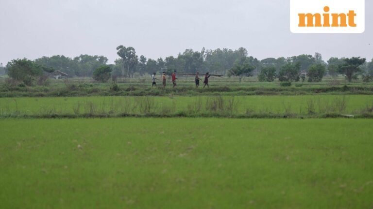 India downgrades monsoon forecast to 90% of normal crop risk | Today’s news