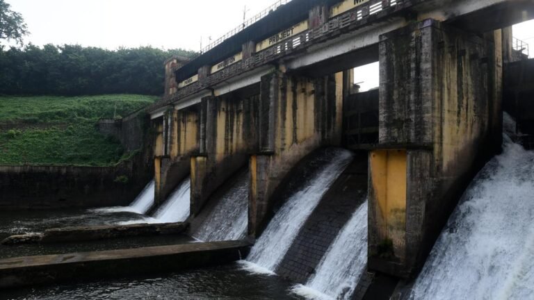 Maniyar hydel project: KSEB’s takeover bid has been put on hold