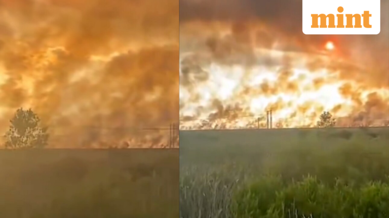 Video shows huge plumes of smoke rising as Florida wildfires spread, turning skies orange | Today’s news