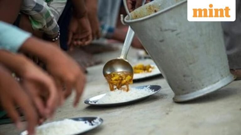 Baby snake found in Bihar school midday meal, more than 150 children sickened | Today’s news