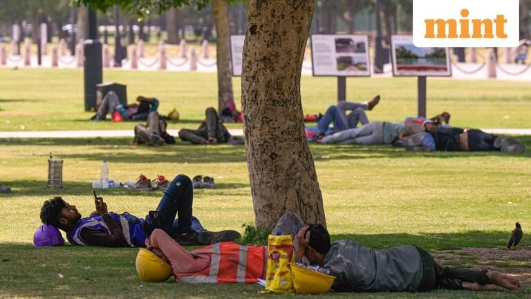 Heat wave warning! Delhi’s Ram Manohar Lohia Hospital received two cases of heat stroke | Today’s news