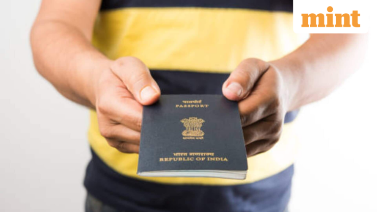 ‘NRI’s dream life’ is a trap’: Wife leaves husband, considers returning home over isolation, endless jobs, unpaid work | Today’s news