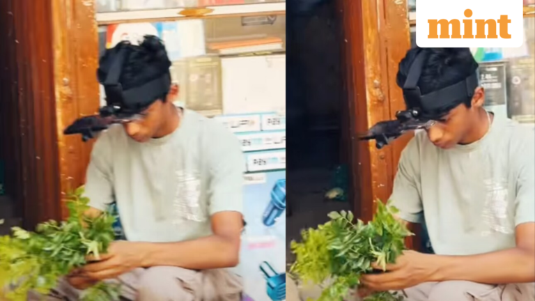 Bengaluru vegetable seller with iPhone headgear earns ₹100,000 a month through ‘artificial intelligence work’ | Today’s news