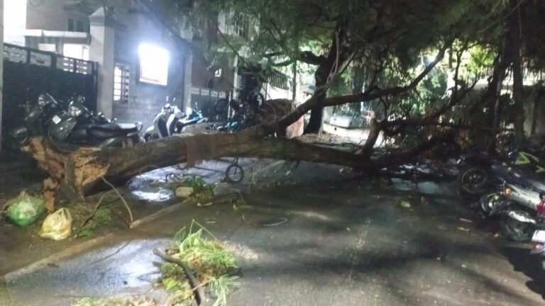 Shoemaker electrocuted in Bengaluru; FIR against officials of GBA, BESCOM, BMTC