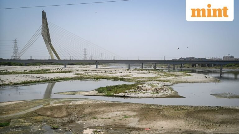 Yamuna water levels drop below critical mark, causing up to 25% supply disruption in Delhi amid heat wave | Today’s news