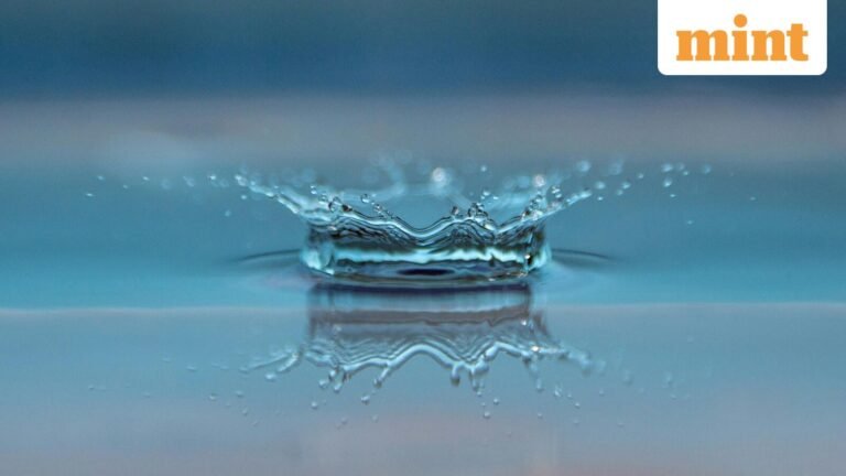 Quote of the day by Thomas Fuller: “The value of water…” Why people often only understand value after loss | Today’s news