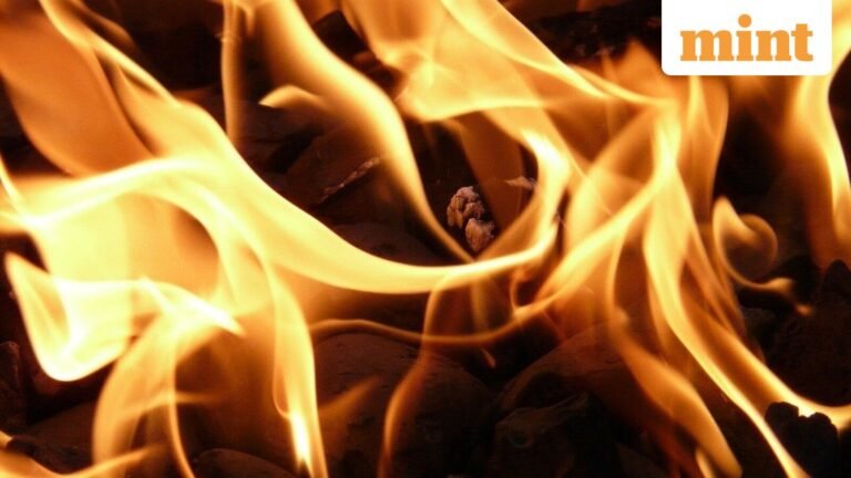 Rajasthan horror: Ex Sarpanch, his second wife and 2 others killed, set on fire in car on highway near Ajmer; 3 detained | Today’s news