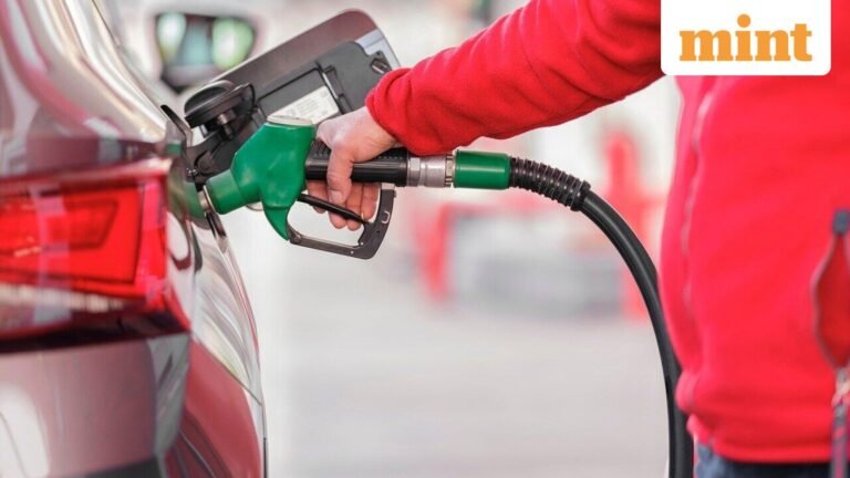 “No plans to support OMC for fuel sales losses” | Today’s news