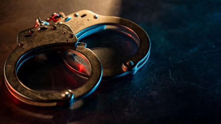 Two Sri Lankans arrested at Madurai airport for illegal voting in Tamil Nadu assembly elections
