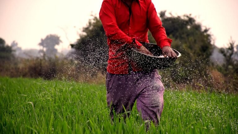 Agri-tech has improved productivity and post-harvest management, experts say in webinar