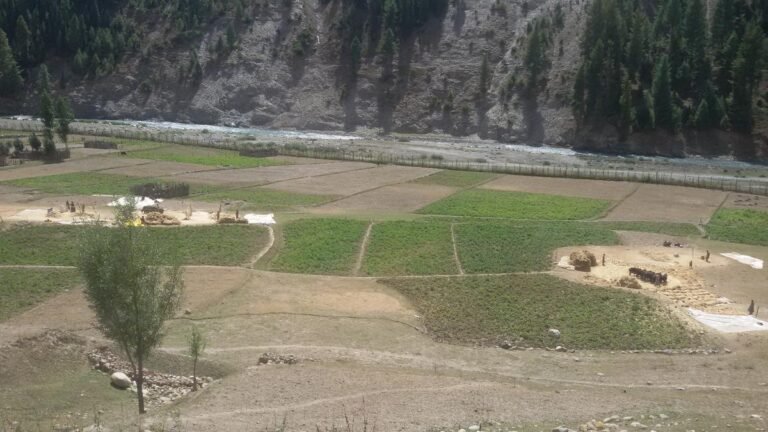 Fourteen lakh kanals of state land extended into Jammu; three lakh in Kashmir: Official figures