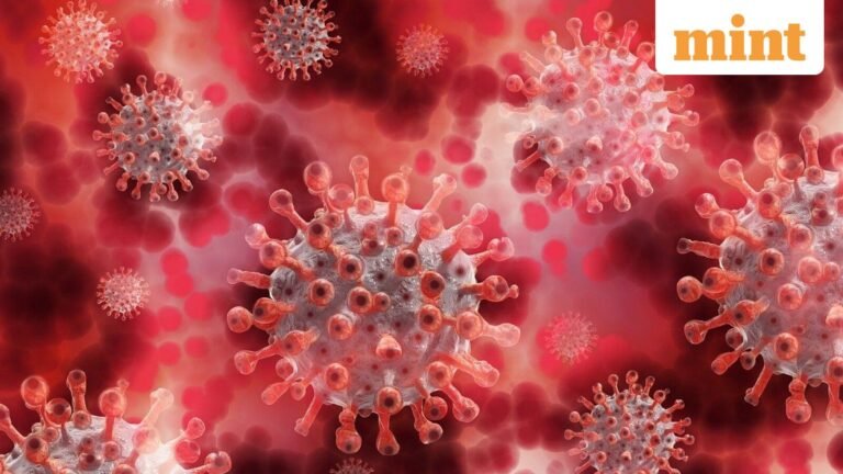 Where is hantavirus in the US? North vs. South America – Researchers Identify Three Emerging ‘Hotspots’ | Today’s news